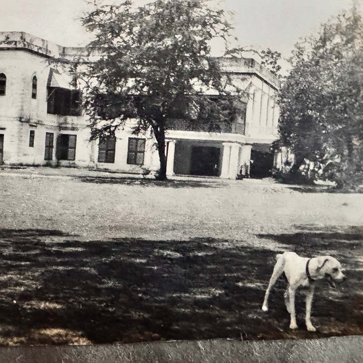 Sladen family history