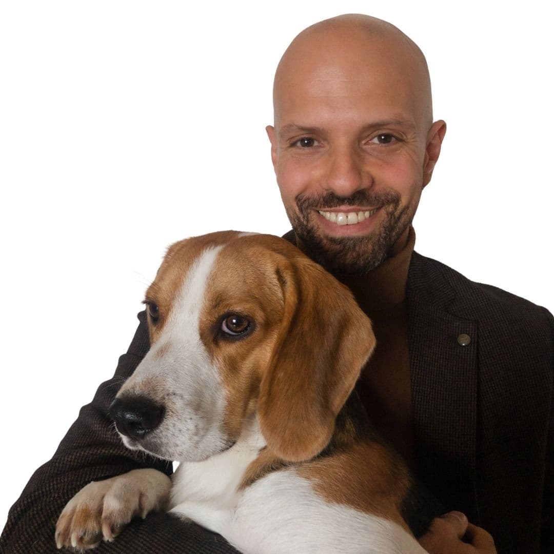 Giulio Tamacoldi - alternate